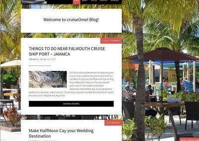 Website Design – Cruise Project