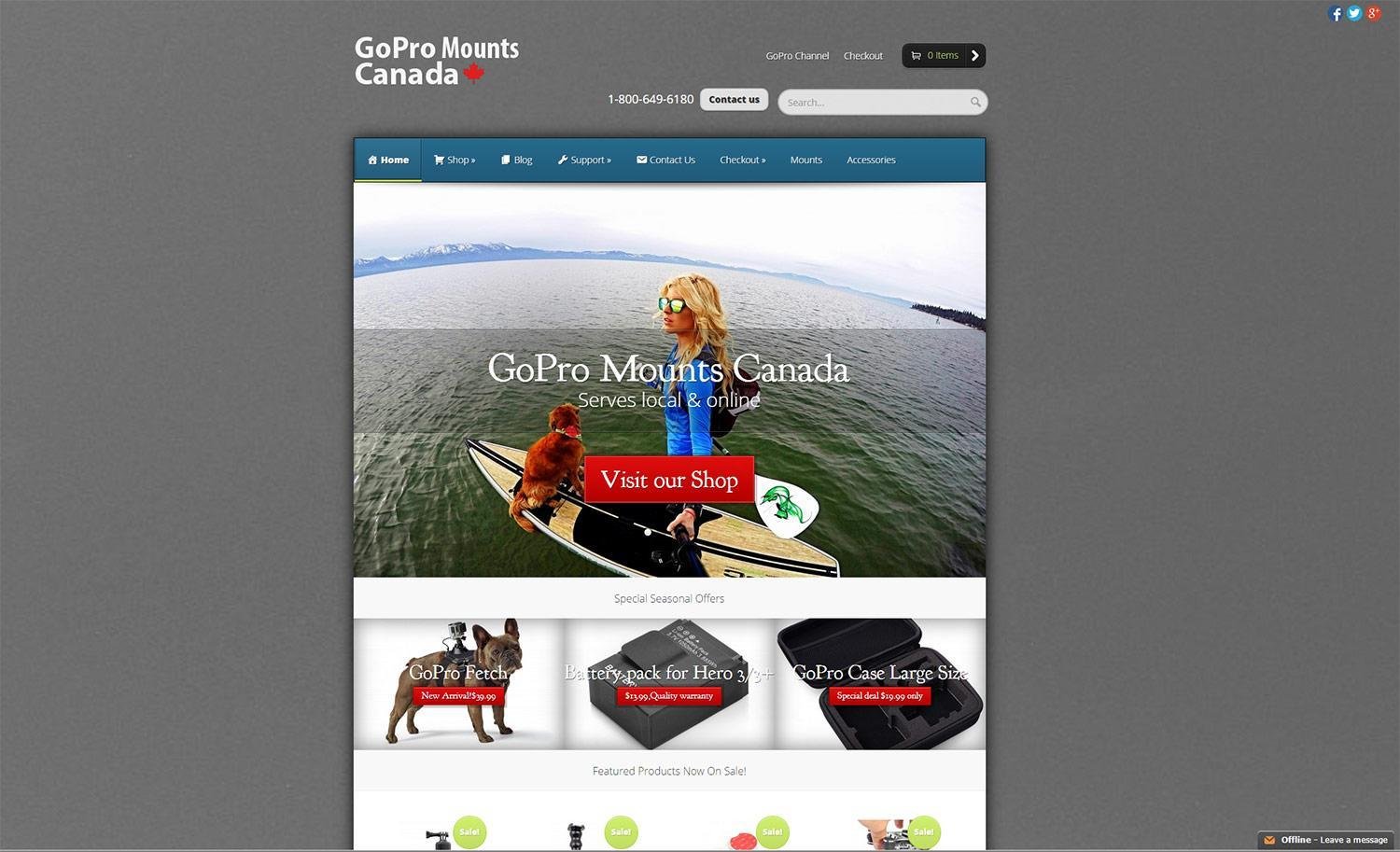 Website Design - GoPro E-Store Project